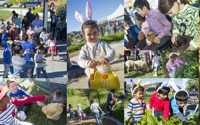 Hop Along to Somerfield to Celebrate Easter